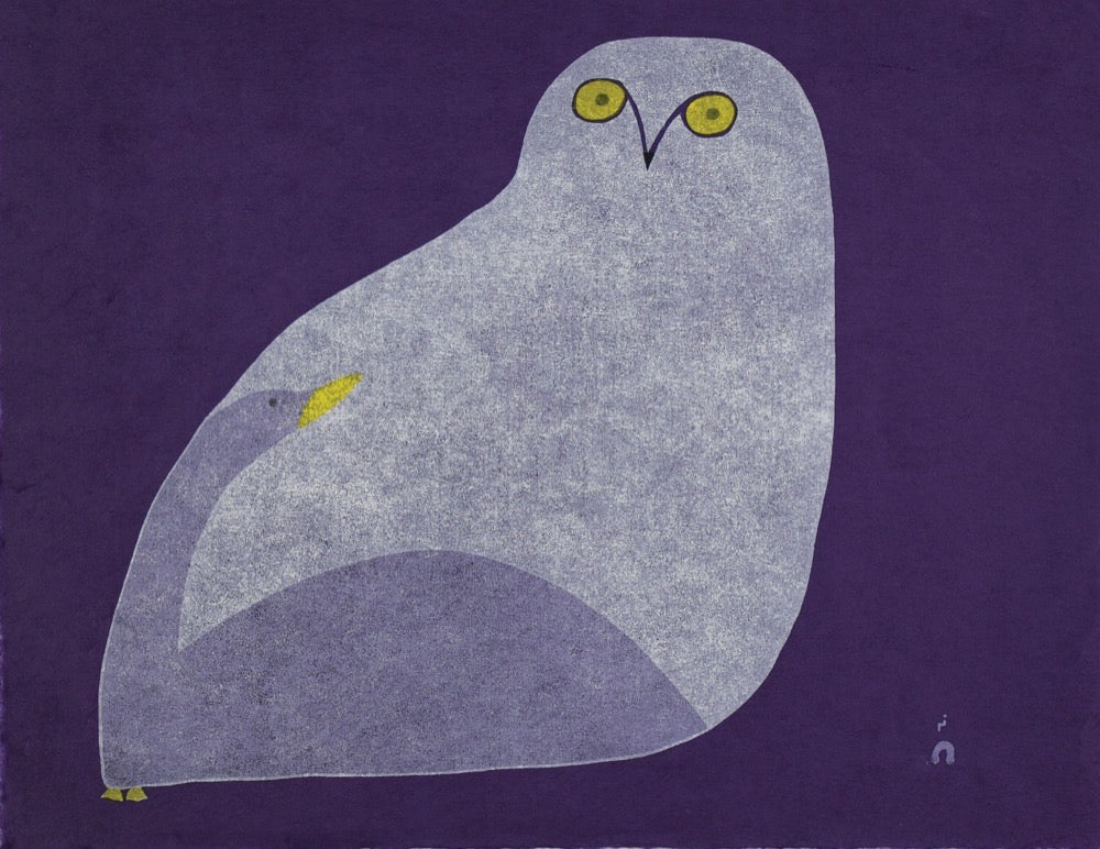 Owl Courting Goose