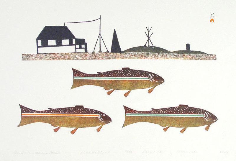 Lake Trout Near Our Camp
