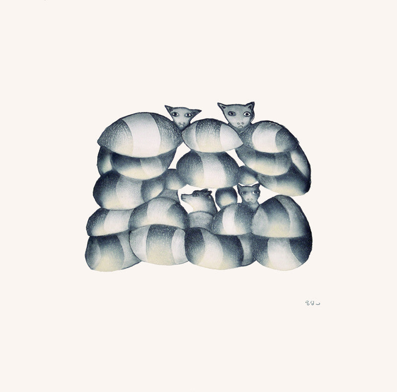 Cats & Dogs