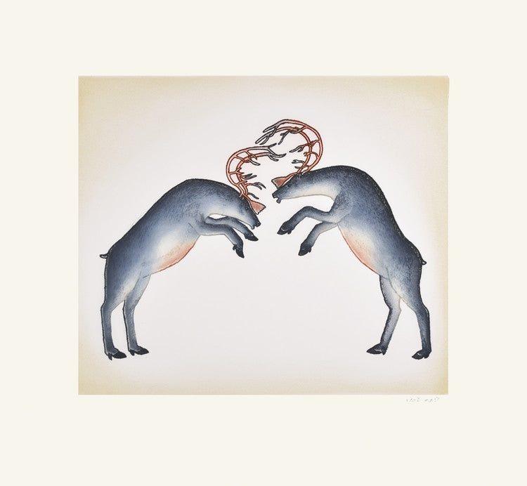 Rutting Caribou