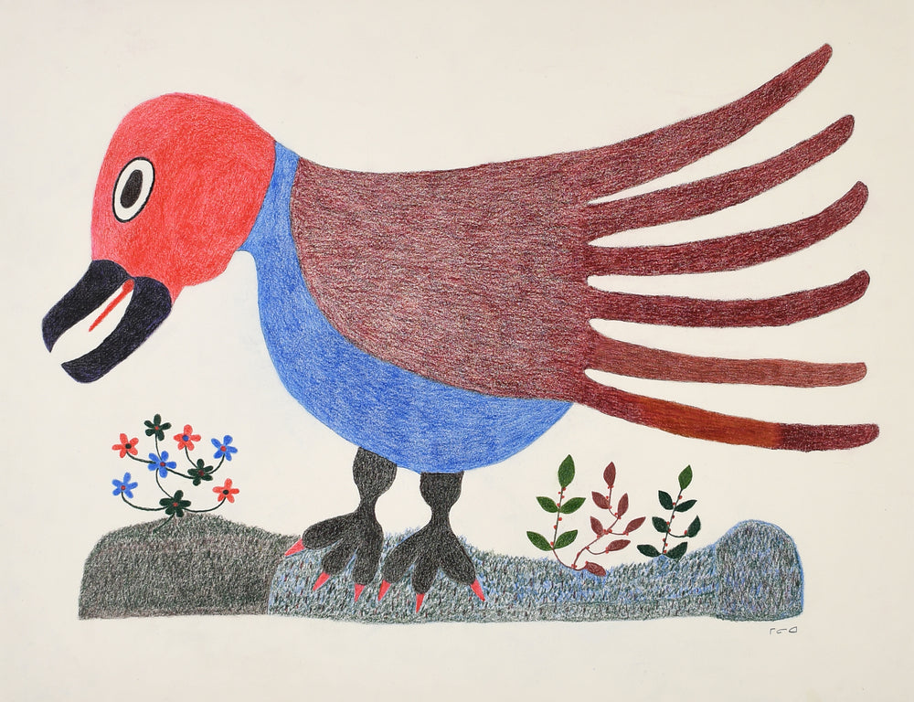 Meelia Kelly Drawing - Untitled Bird #3