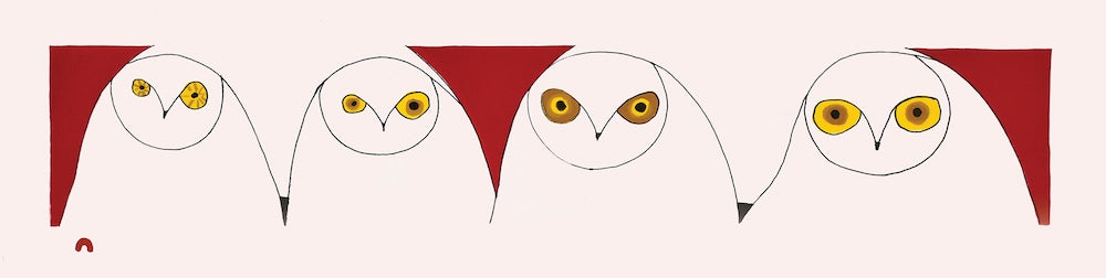 Owl's Illusion