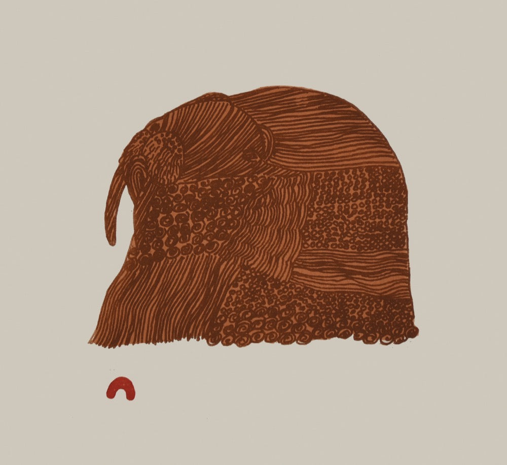 Groovy Walrus