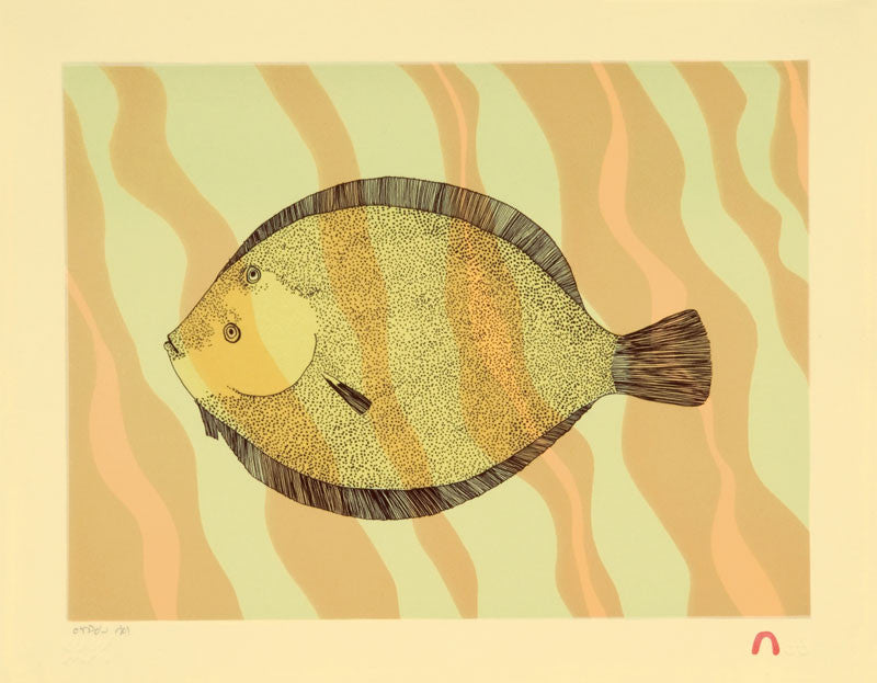 Halibut