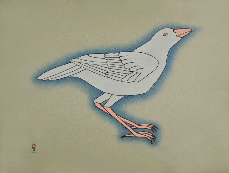 Vector Inuit Raven White Raven – Print Inuit
