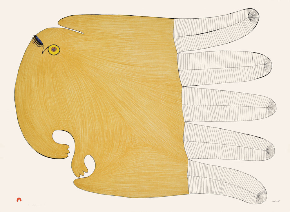 Flirtatious Owl
