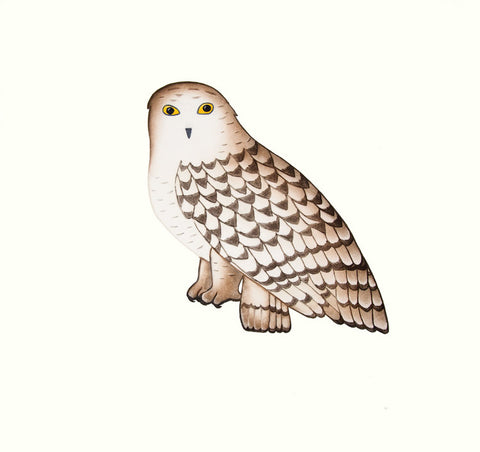 Noble Owl