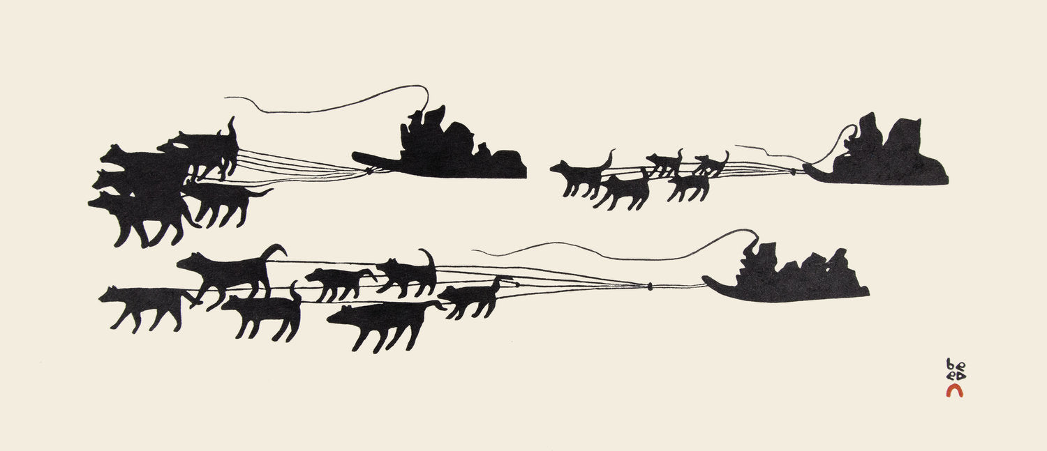 Journey by Dog Team