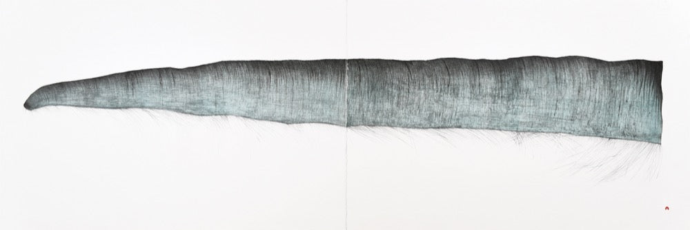 Baleen