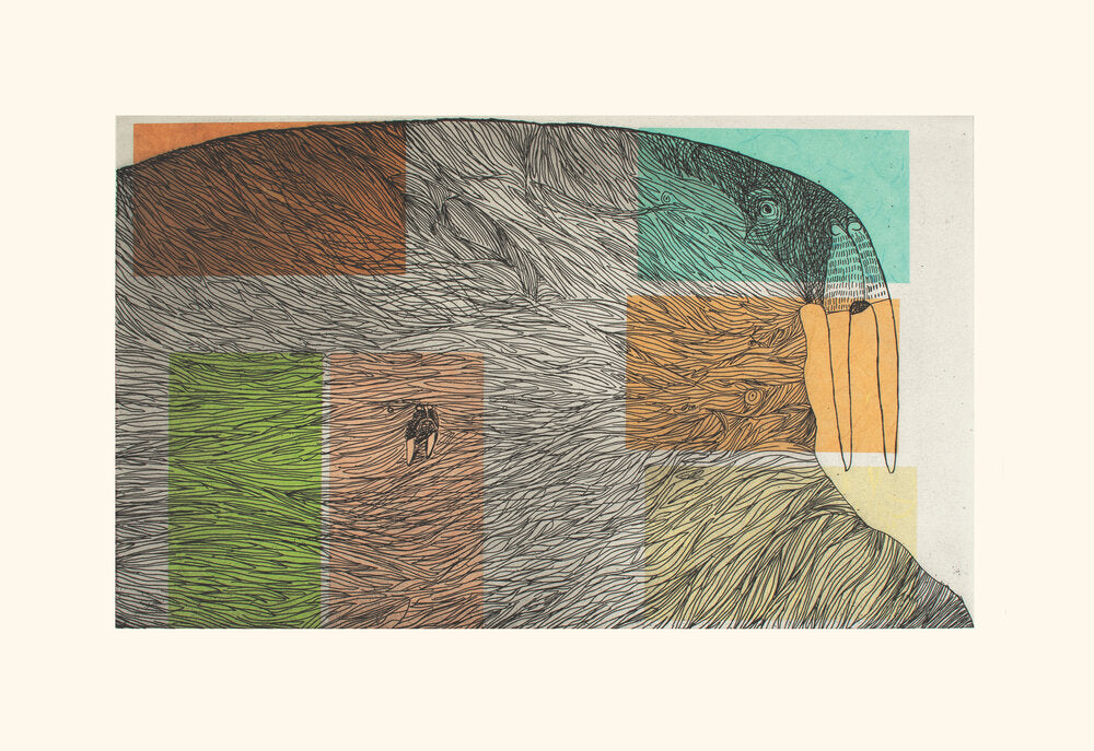 Ancestral Walrus