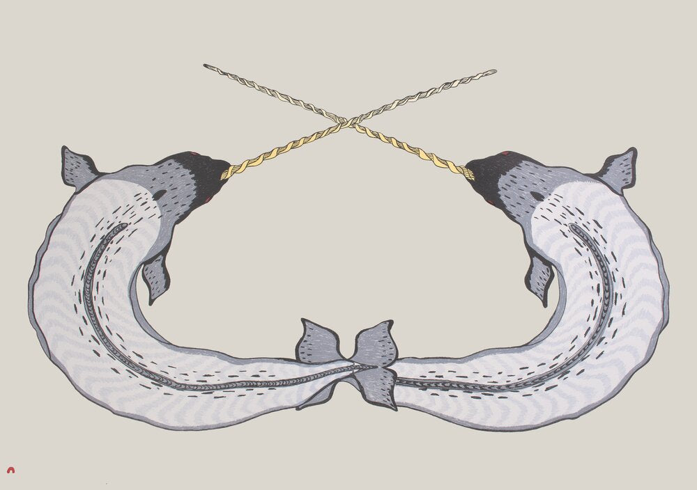 Sparring Narwhals